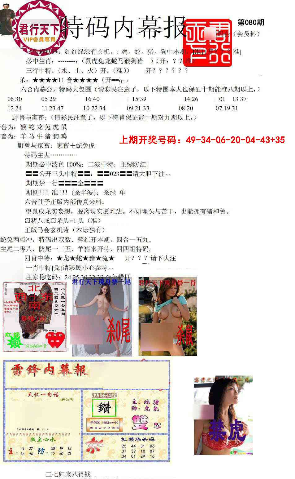 080期特码内幕报[图]